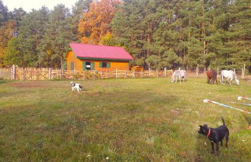 Agroturystyka Polana Harmonii - Foto 1