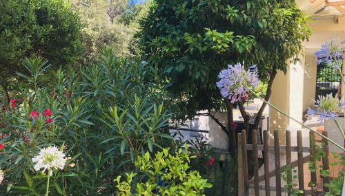 T2 en Rez-de-jardin Fleur de Sel - Foto 2, Garden