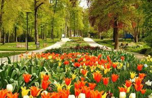 Kurpark & Therme Apartment - Foto 13