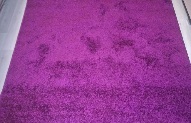 Zorge Studies - Foto 22