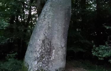 MaisonPortManech - exquisites Kleinod in der Bretagne - Foto 24