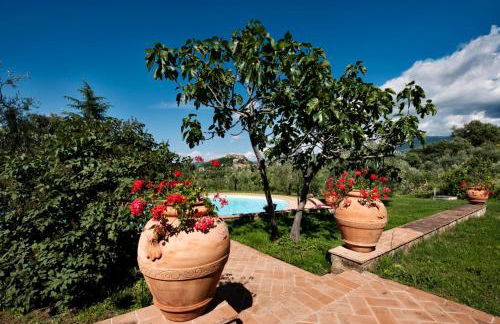 La Dragona - Foto 10