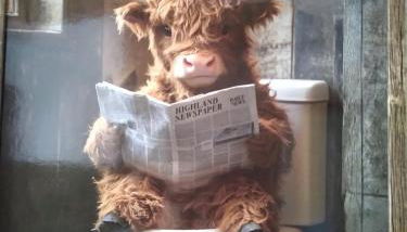 100 Stufen über dem Rhein - Foto 2