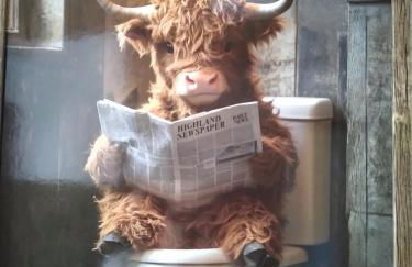 100 Stufen über dem Rhein - Photo 2