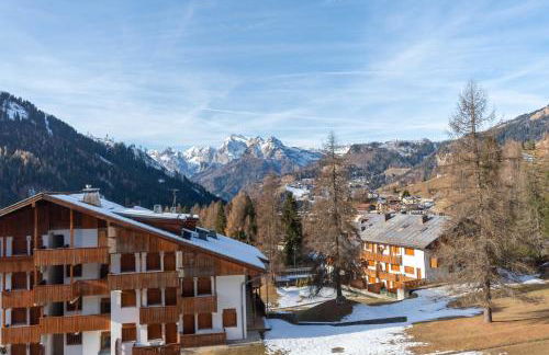 Petit Cirsio - Foto 24