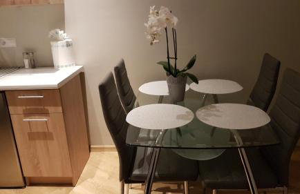 Apartament Strumyk - Foto 63