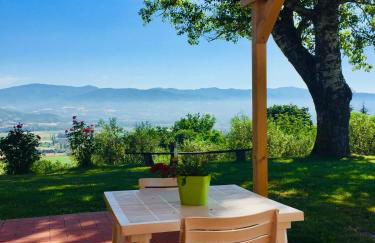 Vigna del Poggio - Foto 4