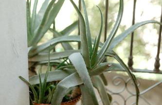 Casa Jaraíz - Centre town - Foto 58