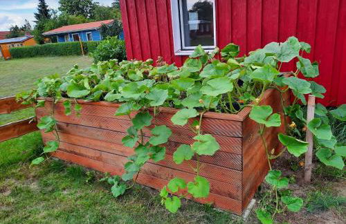 Ferienwohnung am Oase am Vilzsee - Foto 55