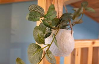 Lookout Tiny Cabin 5 Min To Downtown Chattanooga - Foto 26