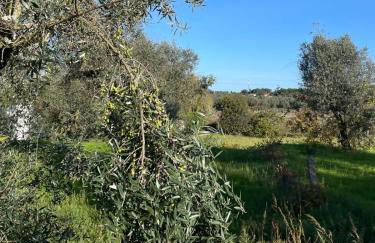 Casa Videira - Foto 47