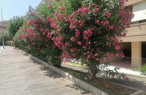 Friend of all the world - Giardino di Roma - Casal Bernocchi - Acilia - Foto 39