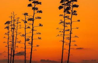 Apartamentos La Calilla Cabo de Gata - Foto 28