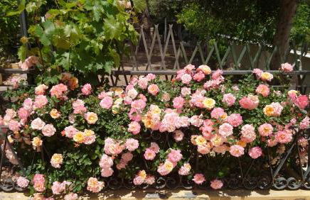 Villa Sicels - Agnone Beach - Syracuse - Foto 17