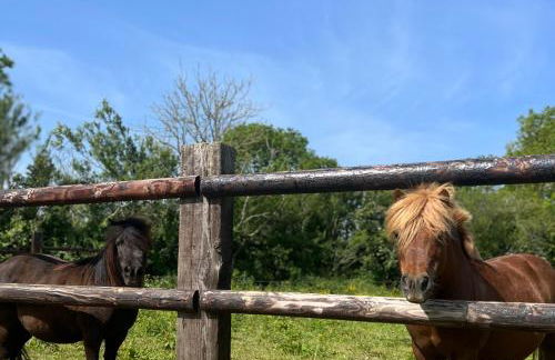 L'atelier, dépendance de charme, Ste Mère Église - Foto 33
