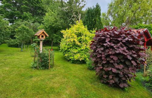 Haus Rosengarten- Ruhige Ferienwohnungen im Grünen - Foto 77