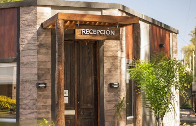 Olivos de Monte - Foto 2