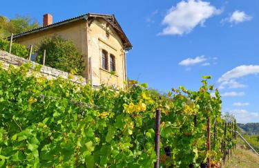 Ferienhaus und Straußwirtschaft im Weinberg - Foto 1
