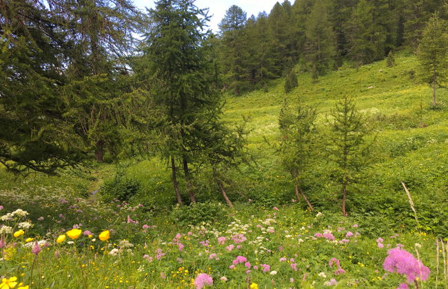 Casot Pra Viei - Foto 18