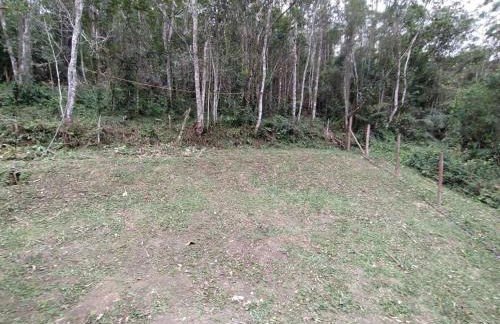 Cabana Moderna - Foto 9