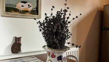 Olympus Country House - Foto 4