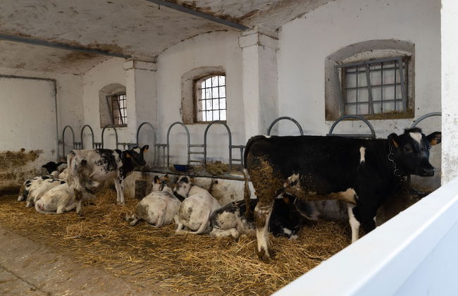 Agriturismo Pozzo Fiorito - Foto 63