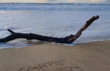 CARPE DIEM - La Villa des Vacances - Foto 16