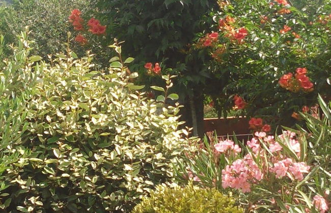 Gite Au Bouzigues - Foto 47