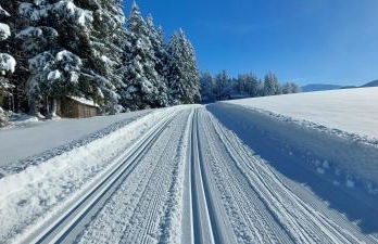 Ferienhaus Kögel - Foto 45