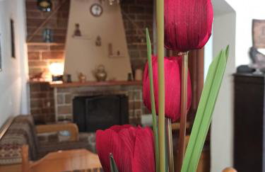 Μπαλκόνι του Αιγαίου father's house in Kimi - Photo 28