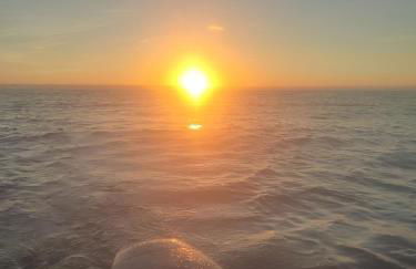 DU SEL A LA VIE, grand studio entre marais et océan - Foto 15