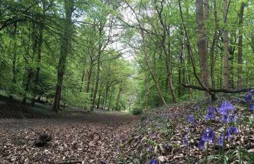 1 Bed in Cinderford oc-73633 - Photo 23