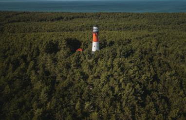 Zen Sasino - Foto 58