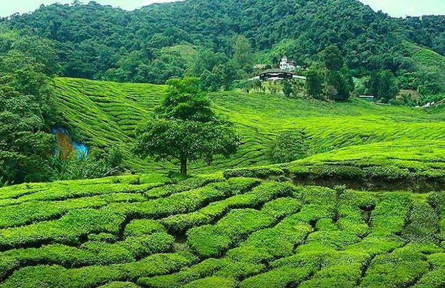 Just For You Highlands Apartment. - Photo 42