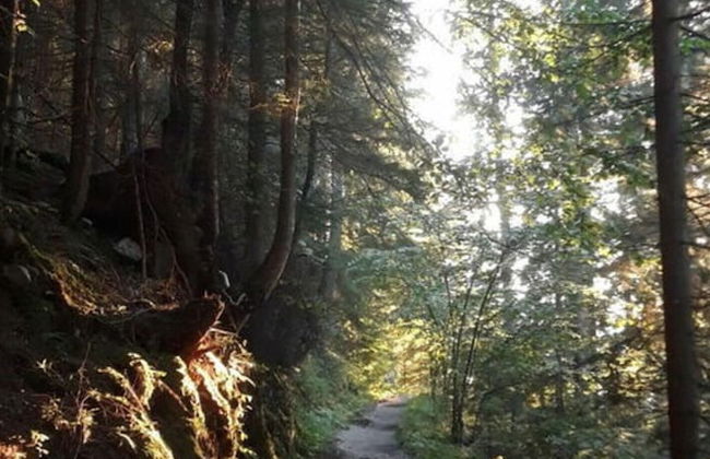 in the Berghanghaus"l Obersalzberg - Foto 19