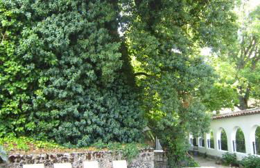 Refugio del Segura - Foto 62