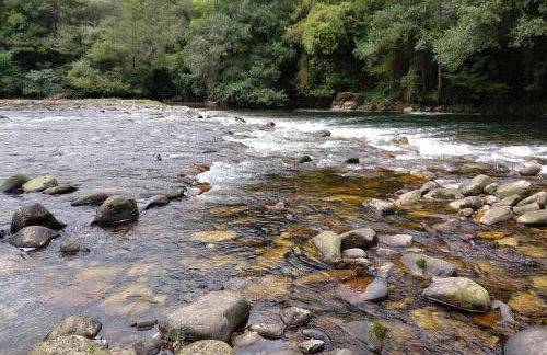 Ca Rifo, casa rural en Asturias, puerta de Somiedo a orillas del río Narcea - Foto 51