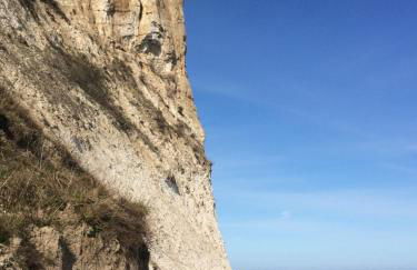 Frühlingserwachen im Haus Wassermann - Foto 50