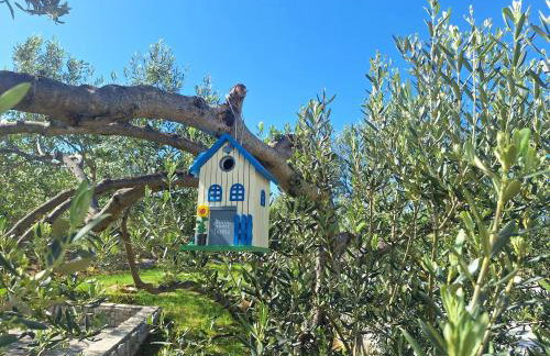 Apartmani AS - Foto 18