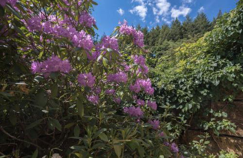 Ferienwohnung Schwalbennest - Foto 70