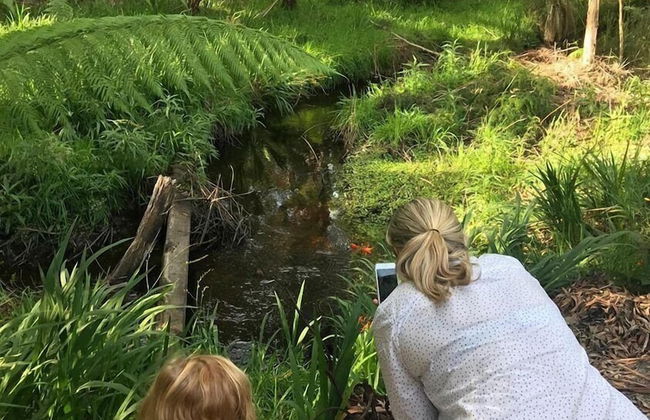 BIG4 Strahan Holiday Retreat - Foto 79