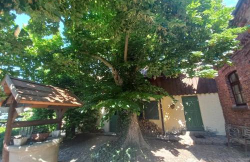 Avalon Połchowo - Foto 29