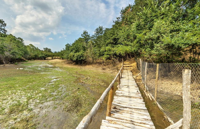 Wine & SPA Complex Starossel - Foto 49