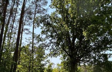 Dom Nad Jeziorem Trzy Tonie - Foto 36