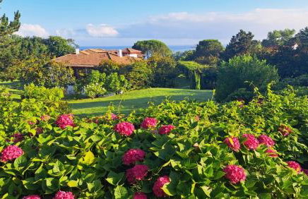 Domaine de Bordaberry - Jardin & superbe piscine - Photo 2