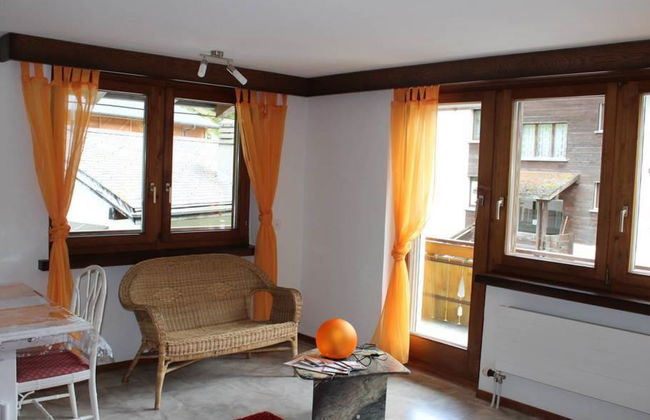 Silberdistel - Foto 6