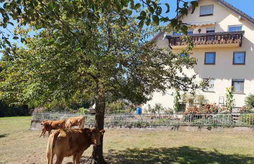 Chickenhill Blackforest, große Ferienwohnung im Schwarzwald - Foto 26