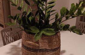 A Cà; Gialla - Foto 7