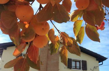 Apartments Colombara Bardolino - Foto 26