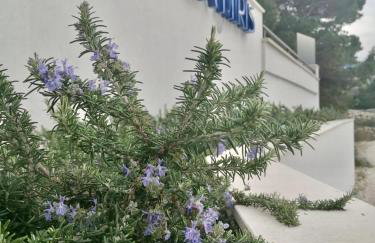 ADRIA MIRIS apartments - Photo 35